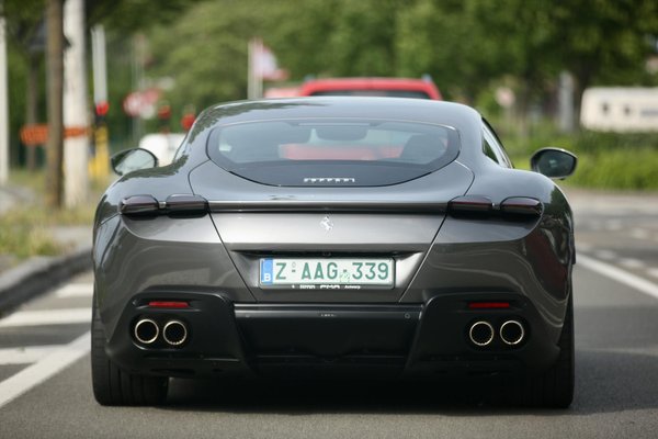 Essential dietary strategies for nourishing dogs with liver disease: your complete guide to optimal health